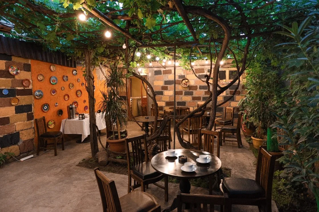 backyard-jpg